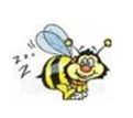 Bzz.JPG